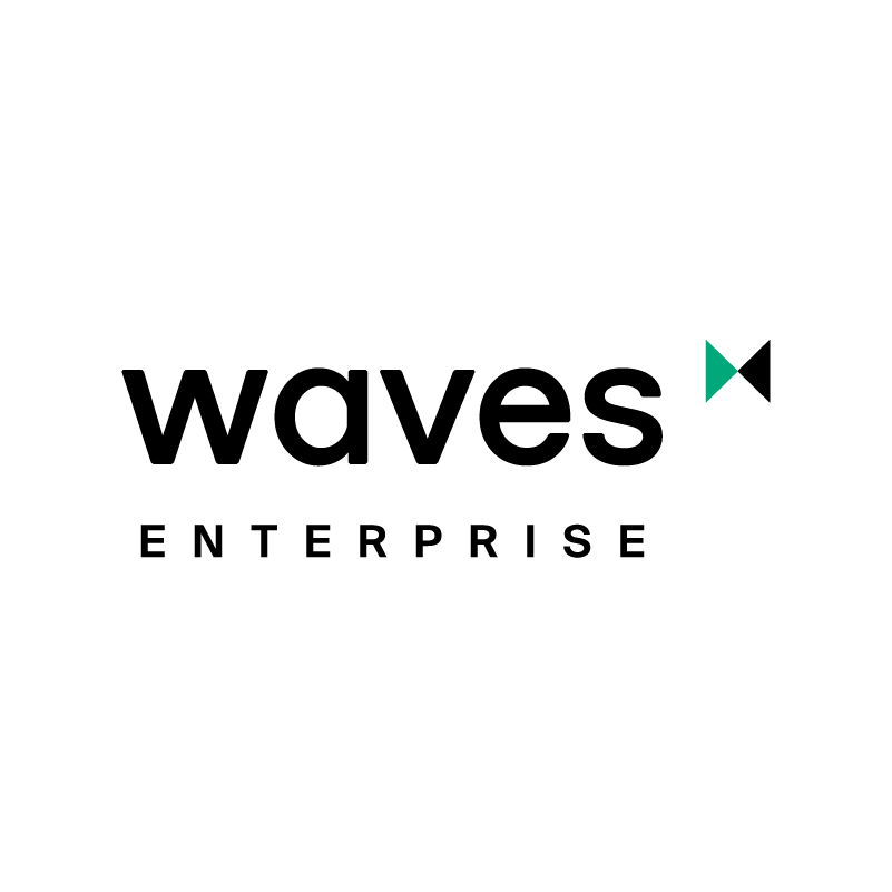 Waves enterprise проекты